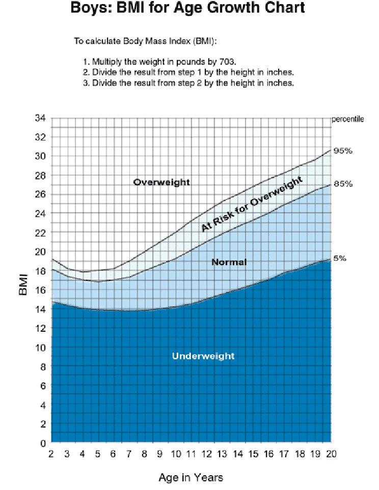 BMI for Age Growth Chart: Boys