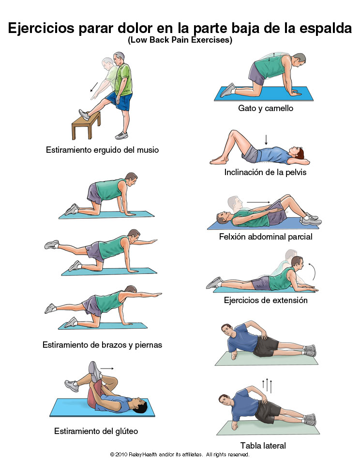 Ejercicios para dolor en la parte baja de la espalda: ilustración