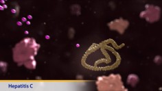 Thumbnail image of: Hepatitis C (Animation)