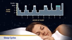 Thumbnail image of: Sleep Cycles (Animation)