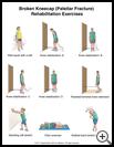 Thumbnail image of: Kneecap Fracture Exercises, Page 2: Illustration
