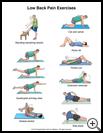 Thumbnail image of: Low Back Pain Exercises: Illustration