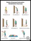 Thumbnail image of: Kneecap Subluxation Exercises, Page 2: Illustration
